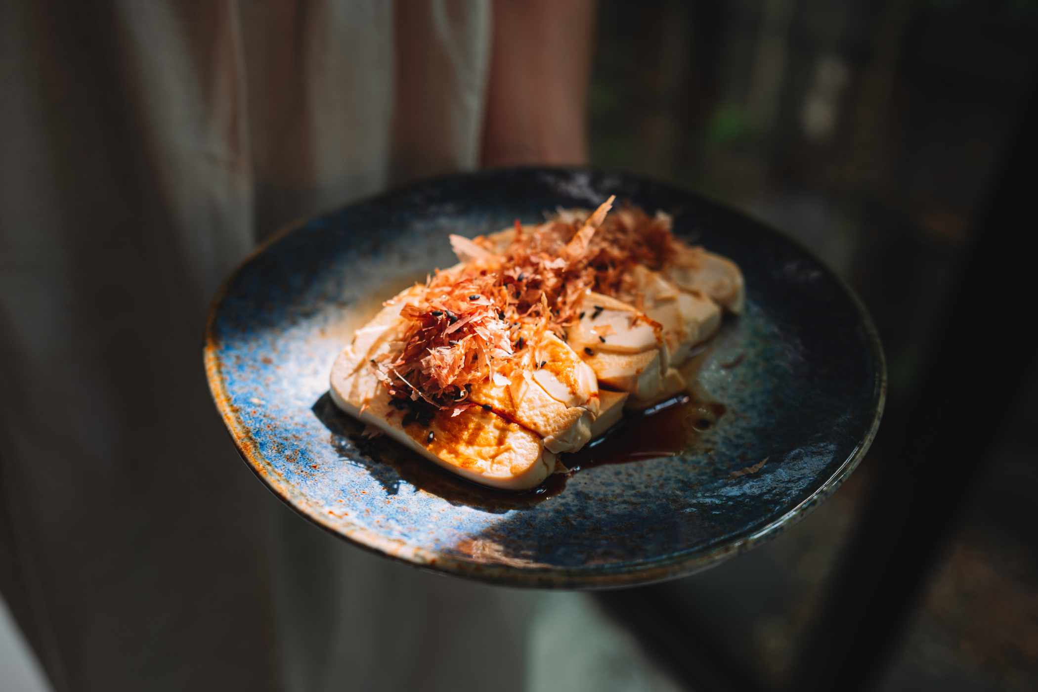 tofu-teriyaki-steak-566FTNJ.jpg